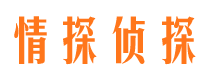 东兴区市侦探调查公司